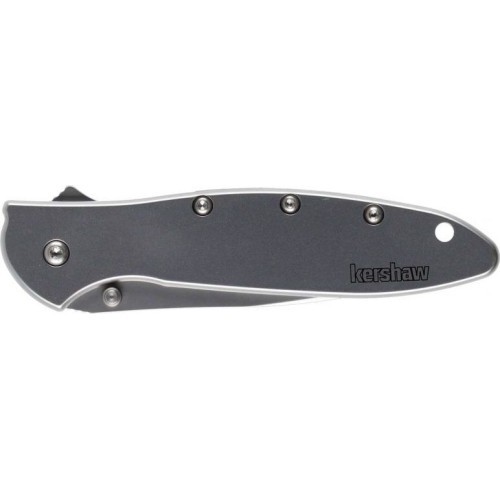Folding Knife Kershaw Leek 1660