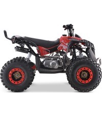 Квадроцикл RENEGADE HighPer 125CC красный
