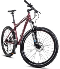 Двиратис Ромет Рамблер FIT 26 2024 бордо-серебро