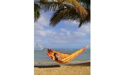 Hammock Amazonas Barbados Papaya