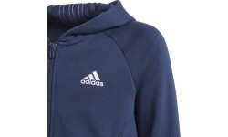 Adidas sporta tērps meitenēm G Hooded Co Ts Blue GM8930
