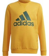 Детский свитшот Adidas B BL Sweat, зелёно-жёлтый, GS4274