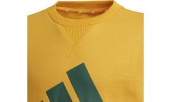 Детский свитшот Adidas B BL Sweat, зелёно-жёлтый, GS4274