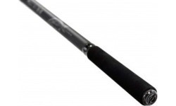 Carp Fishing Rod Zfish Kingstone 3.60m, 60-100g
