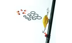Āķu un mānekļu turētājs Filfishing 4446