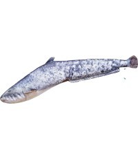 The Small Catfish Pillow