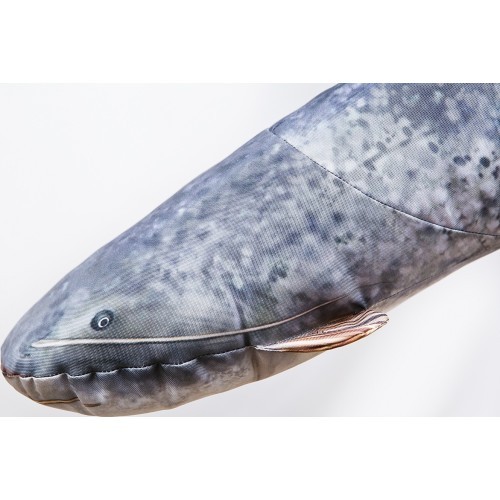The Small Catfish Pillow