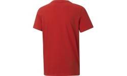 Футболка подростковая Puma Alpha Graphic Tee Red 847281 11