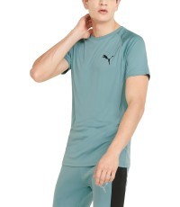 Puma RTG Tee vīriešu T-krekls Mineral Green 585827 50