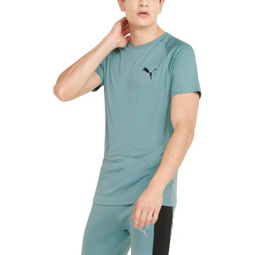 Мужская футболка Puma RTG Tee Mineral Green 585827 50
