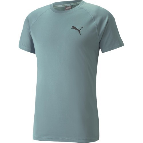Puma RTG Tee Men's T-Shirt Mineral Green 585827 50