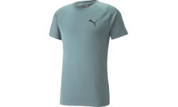 Мужская футболка Puma RTG Tee Mineral Green 585827 50