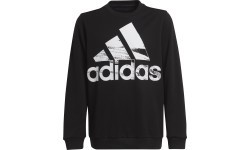Adidas Logo Sweat Hoodie for Teens, Black HA4011