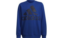 Adidas džemperis zēniem Logo Sweat Blue HF1824