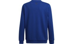 Adidas свитшот для мальчиков Logo Sweat Blue HF1824