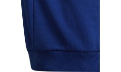 Adidas свитшот для мальчиков Logo Sweat Blue HF1824