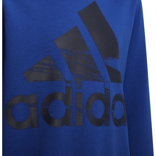 Adidas džemperis zēniem Logo Sweat Blue HF1824