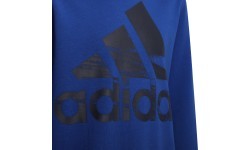 Adidas džemperis zēniem Logo Sweat Blue HF1824