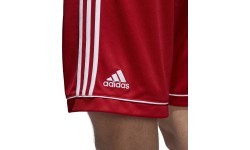Adidas Squad 17 futbola šorti, sarkani BJ9226P