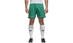 Adidas Squad 17 vīriešu futbola šorti zaļi