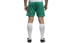 Мужские футбольные шорты Adidas Squad 17 зелёные