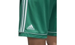Мужские футбольные шорты Adidas Squad 17 зелёные