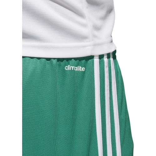 Мужские футбольные шорты Adidas Squad 17 зелёные