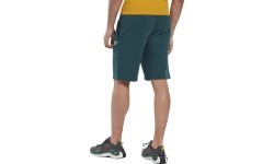 Reebok Ri Left Leg Logo Men's Shorts Green HM5349