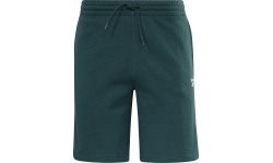 Reebok Ri Left Leg Logo vīriešu šorti, zaļi HM5349