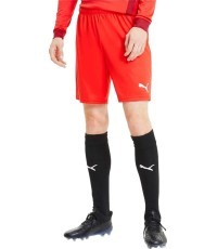 Мужские футбольные шорты Puma TeamGoal 23 Knit Shorts Red 704262 01