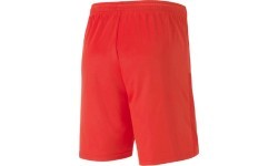 Puma Men's Football Shorts TeamGoal 23 Knit Shorts Red 704262 01