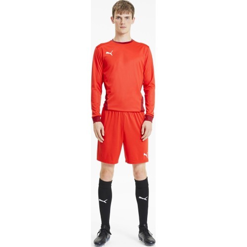 Puma futbola šorti vīriešiem TeamGoal 23 Knit Shorts Red 704262 01