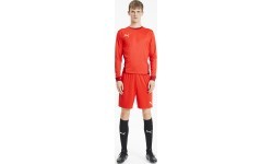 Puma futbola šorti vīriešiem TeamGoal 23 Knit Shorts Red 704262 01