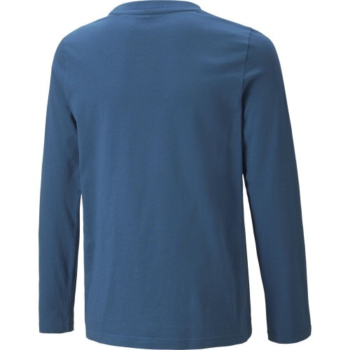 Puma Alpha Longsleeve Tee Junior Blue 670103 17