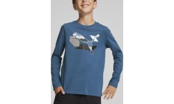 Puma Alpha Longsleeve Tee Junior Blue 670103 17