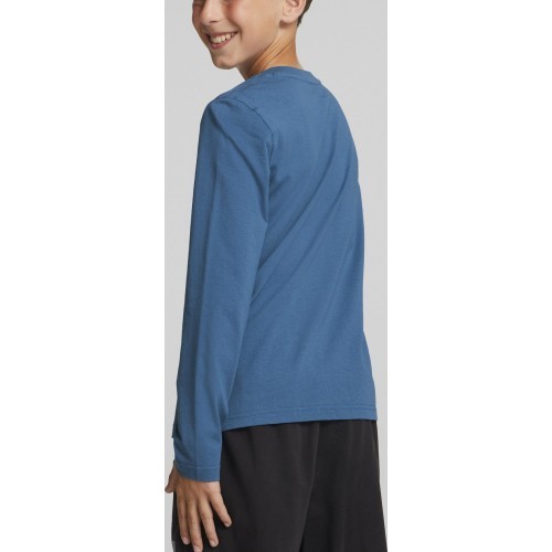 Puma Alpha Longsleeve Tee Junior Blue 670103 17