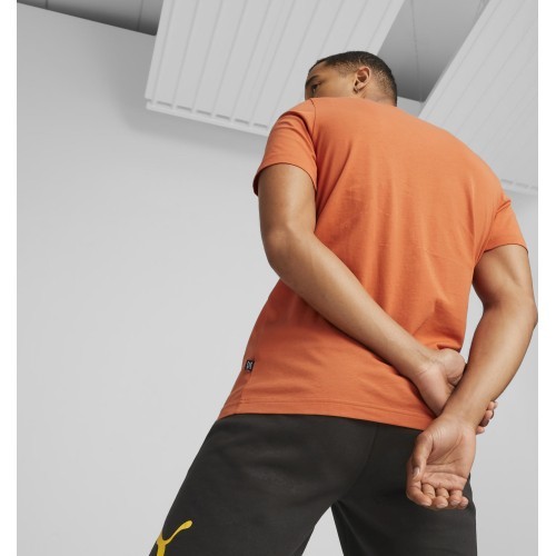 Puma Graphics Court Tee vīriešu krekls Chili Orange 674481 94