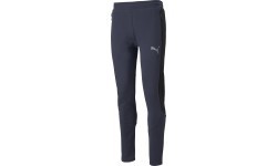 Мужские брюки Puma Evostripe Navy 847404 43