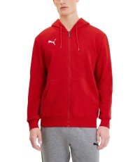 Puma vīriešu džemperis TeamGoal 23 Casuals Hooded Red 656708 01