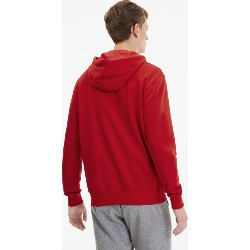 Puma мужская толстовка TeamGoal 23 Casuals Hooded Red 656708 01