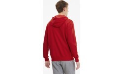 Puma vīriešu džemperis TeamGoal 23 Casuals Hooded Red 656708 01