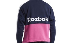 Reebok sieviešu džemperis Te Linear Logo Ft F Blue Pink FU2205