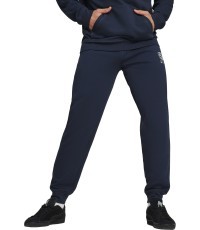 Мужские спортивные брюки Puma Better Sportswear Navy 679005 14