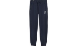 Мужские спортивные брюки Puma Better Sportswear Navy 679005 14