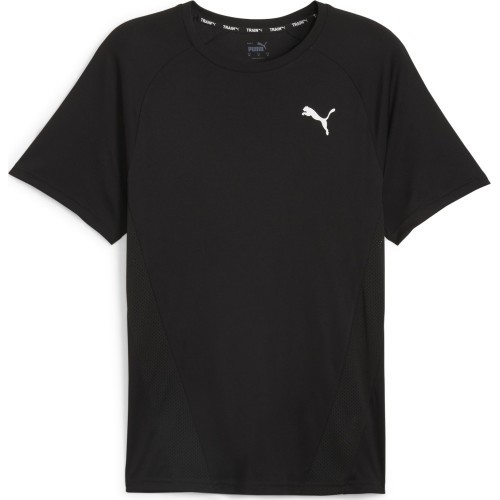 Мужская футболка Puma Train All Day Tee чёрная 524916 01