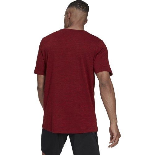 Adidas Men's T-Shirt City Elevated T Burgundy
