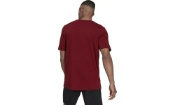 Adidas vīriešu T-krekls City Elevated T Burgundy