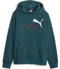 Puma Džemperis Paaugliams Ess + 2 Col Big Logo Green 586987 75