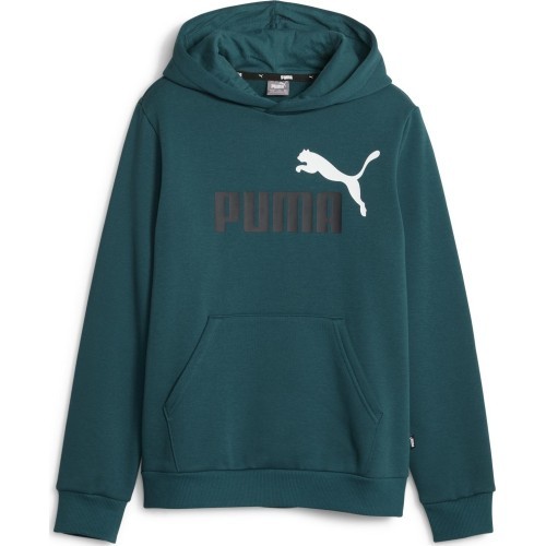 Puma Džemperis Paaugliams Ess + 2 Col Big Logo Green 586987 75