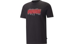 Puma мужская футболка Graphics Puma Wording Black 674475 01